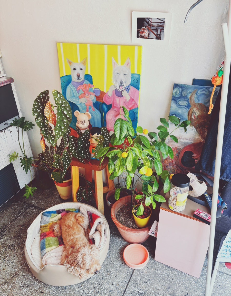 마담마담 사진 6