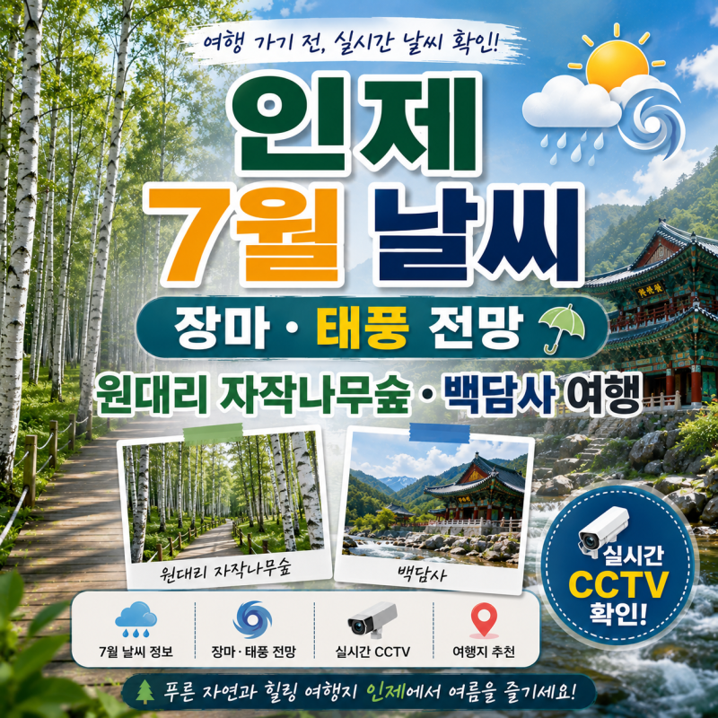 인제 7월 날씨 장마·태풍 총정리｜실시간 CCTV 원대리 자작나무숲·백담사 여행 코스