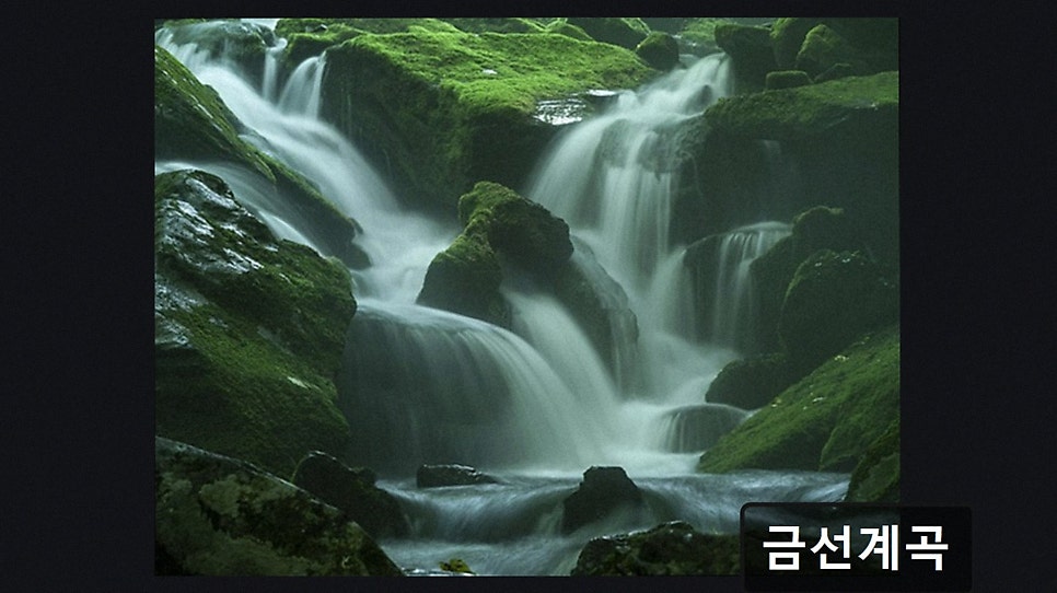 금선계곡 사진 5