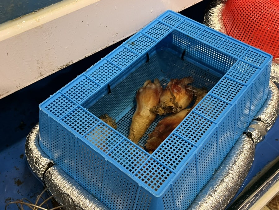 경성식당연탄구이 동백점 사진 6
