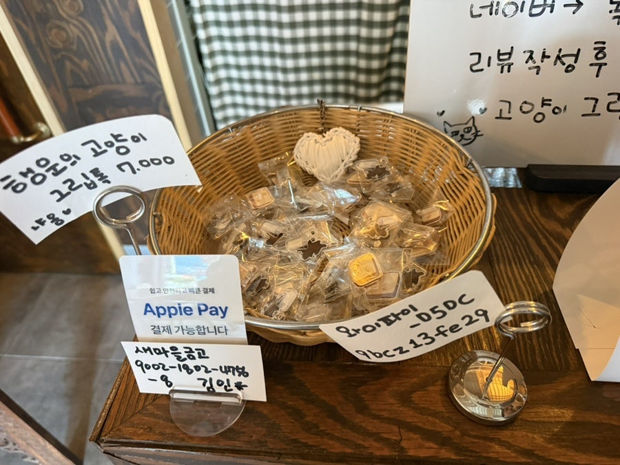 보네르 사진 5