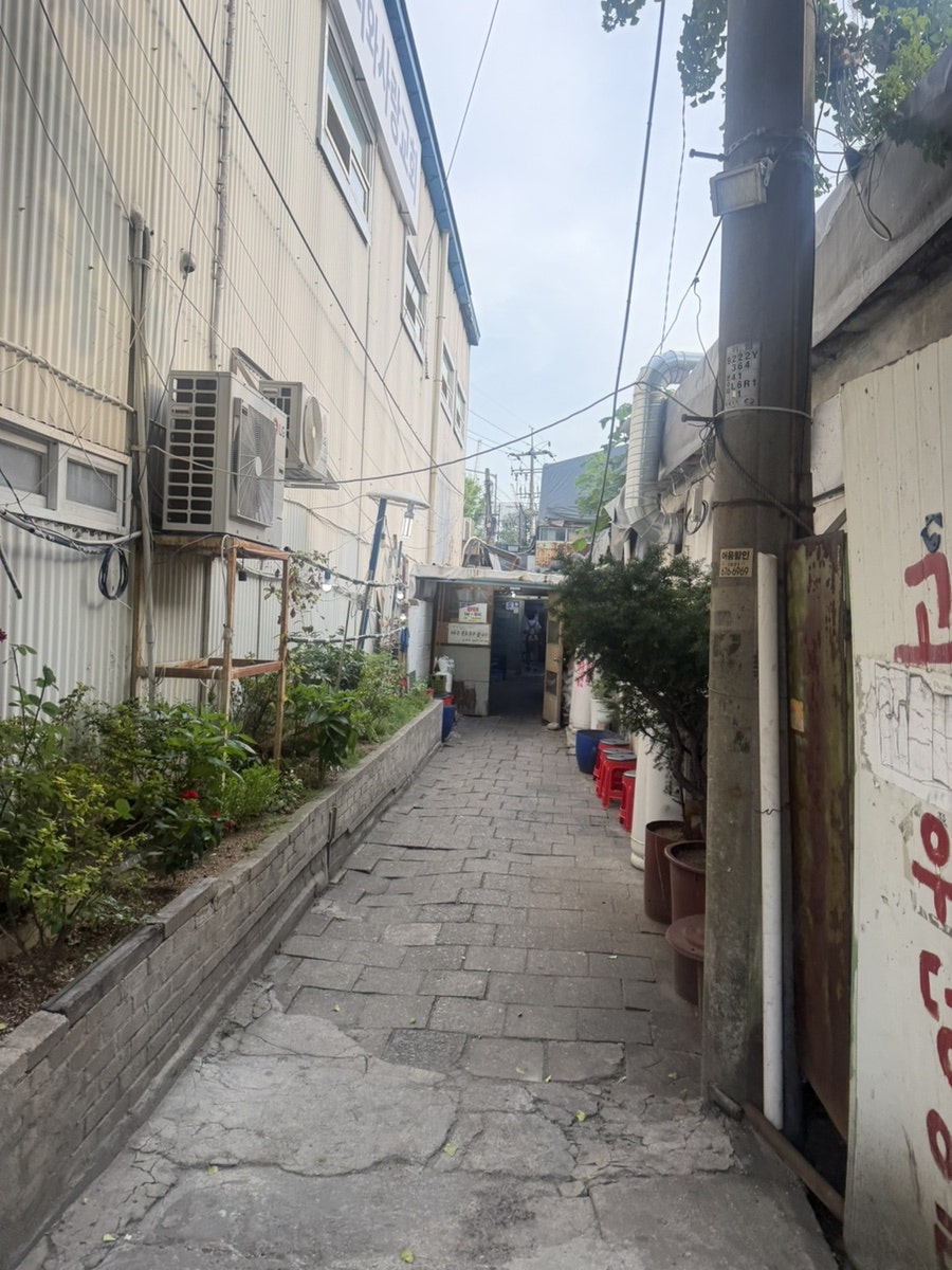 고바우 사진 2