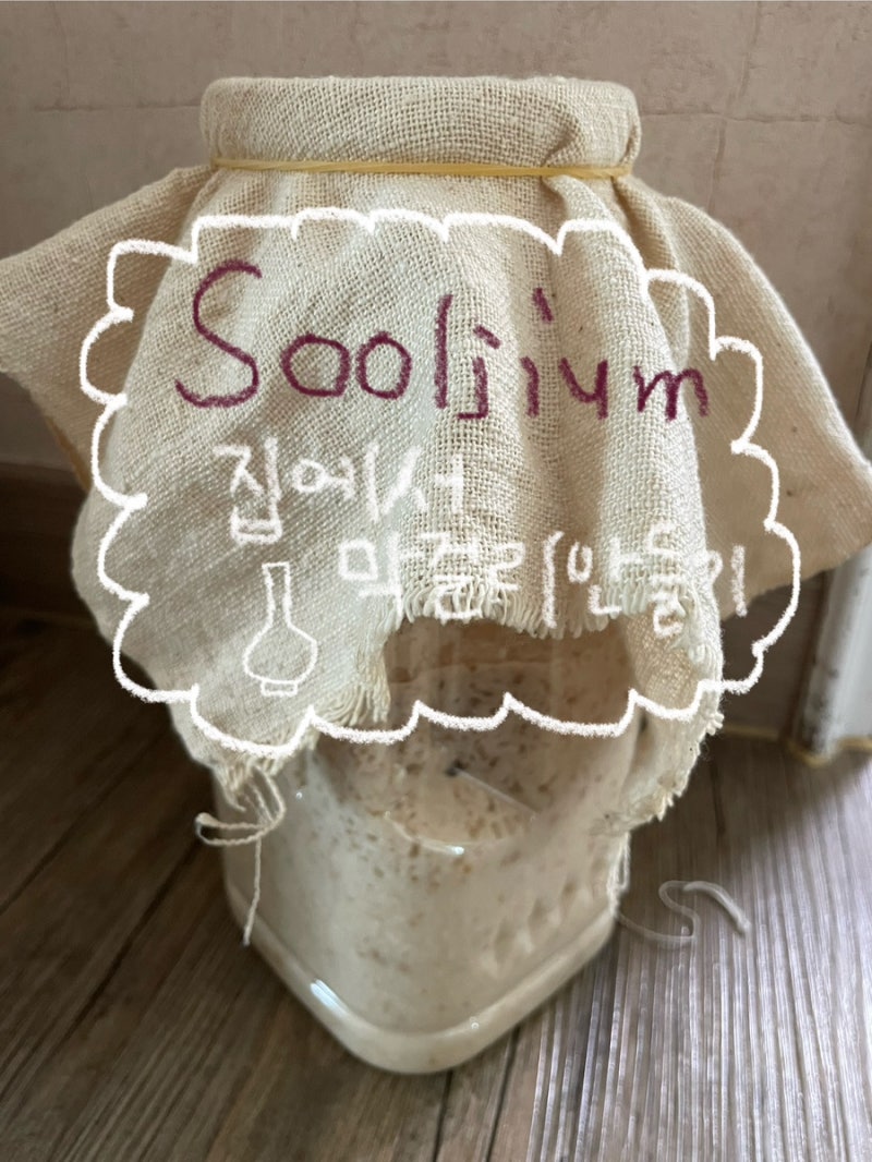 [SOOLJIUM] 술지움 막걸리 키트로 집에서 막걸리 만들기