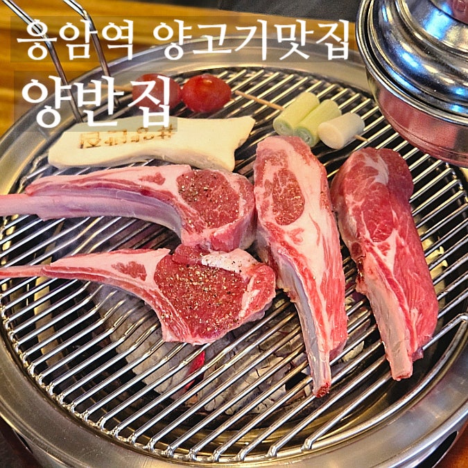 은평구 신사동 맛집 양반집, 양갈비가 입에서 녹는 줄서서 먹는 양고기 맛집