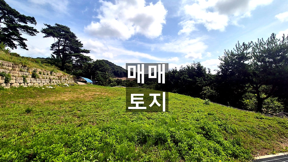 필봉산 사진 4