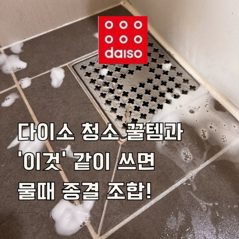 다이소 추천템 틈새 브러쉬와 욕실세정제 화장실 물때 완벽 제거 꿀조합