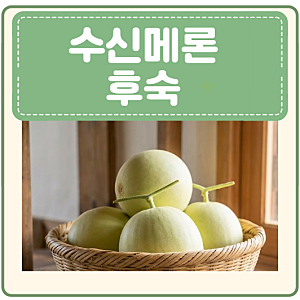 수신메론 효능 수신멜론 후숙 먹는법 부작용