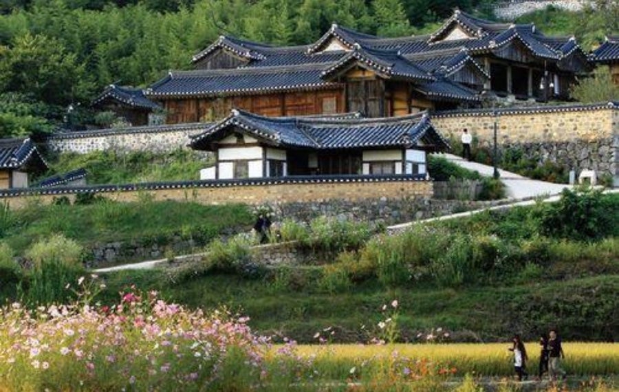 장작불 사진 5