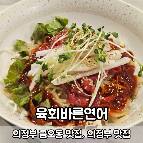 의정부 금오동 맛집 육회바른연어 육회쫄면 연어혼밥세트 후기
