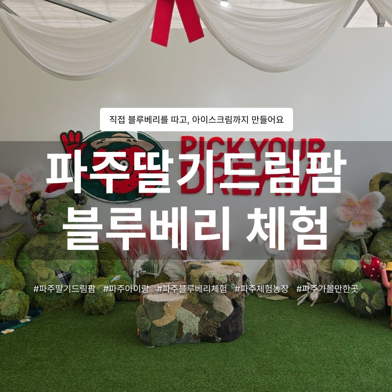 파주 아이와 가볼만한곳 파주딸기드림팜 | 직접 블루베리 따고 아이스크림까지 만들어봐요