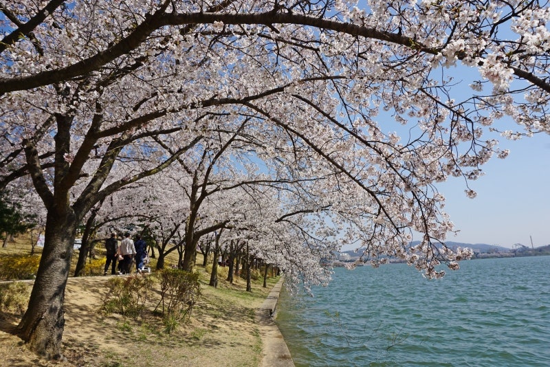 경주 보문호 둘레길 트레킹 완벽 가이드