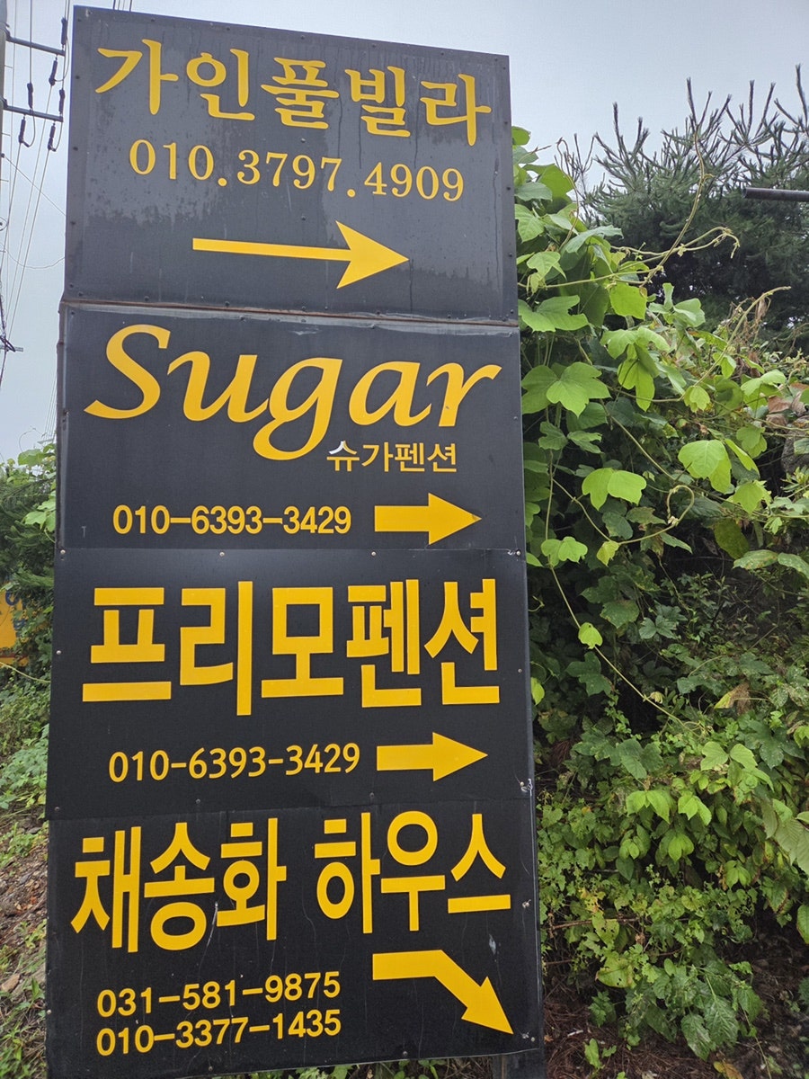아침풍경 사진 2