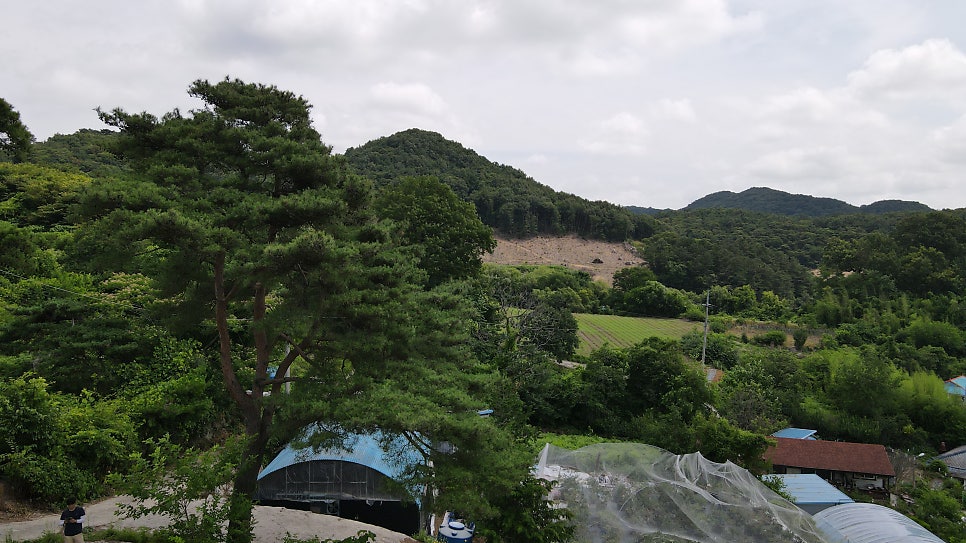 필봉산 사진 6