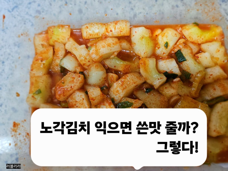 [쓴맛 나는 노각(늙은 오이) 어떻게 해야 할까?][노각김치 쓴맛 줄어드나 실험][노각김치 숙성....