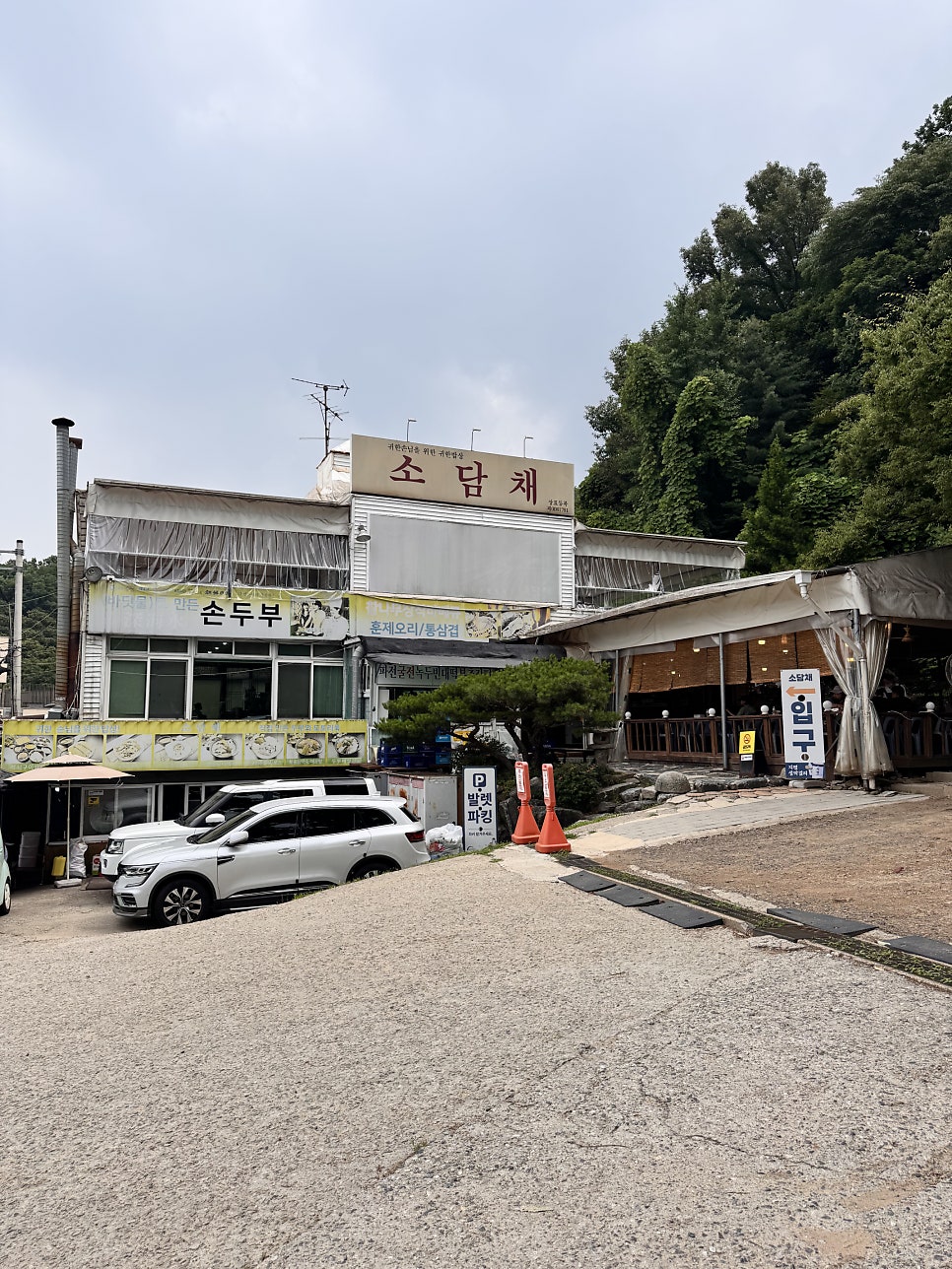 소담채 사진 4