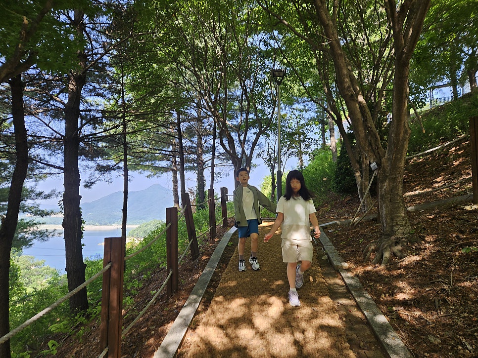 청풍리조트 레이크피아 사진 2
