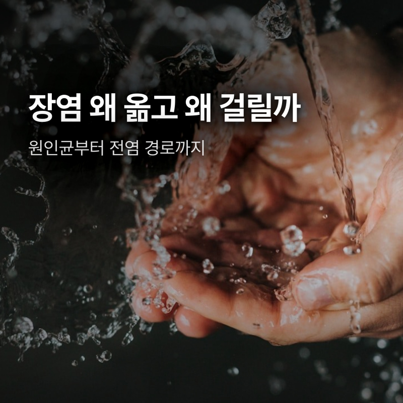 장염 왜 옮고 왜 걸릴까, 원인균과 전염 경로 정리