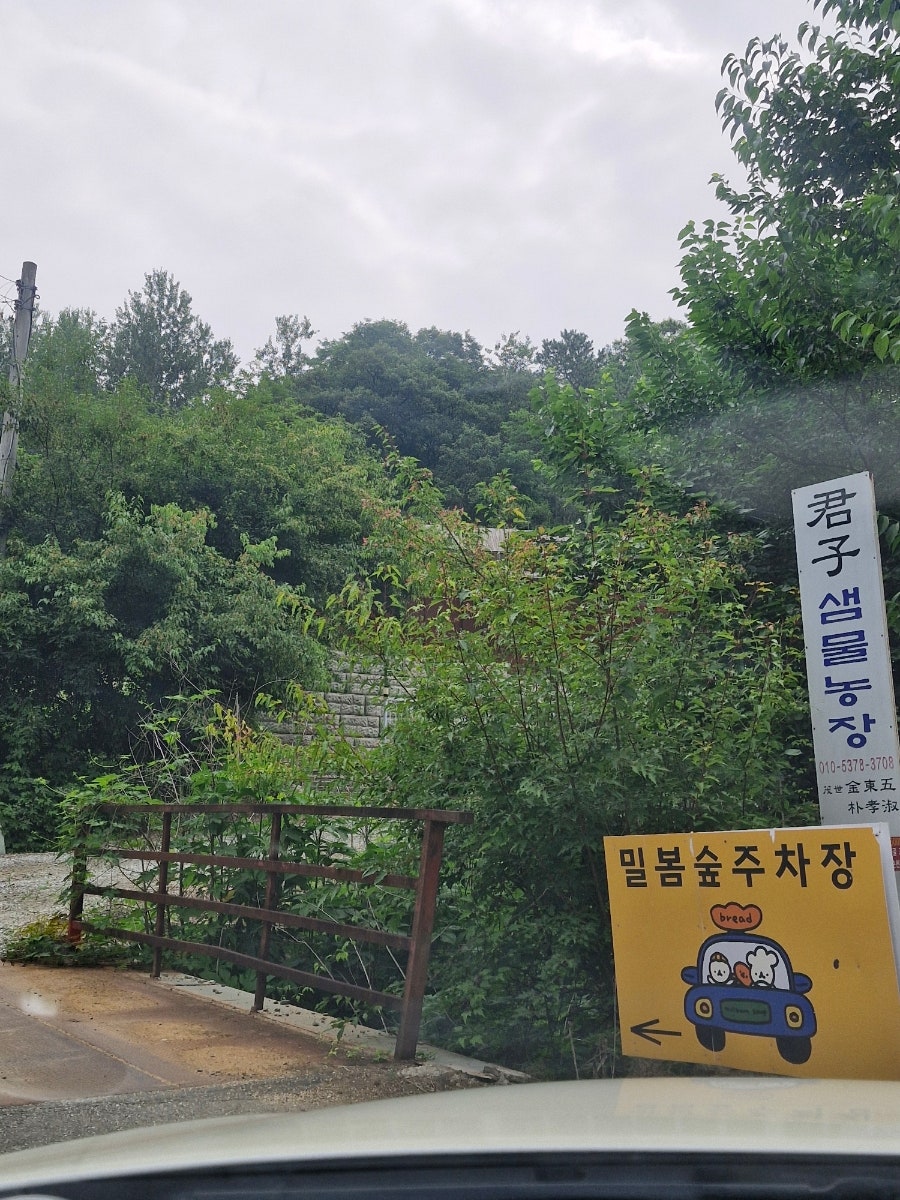 밀봄숲 사진 3