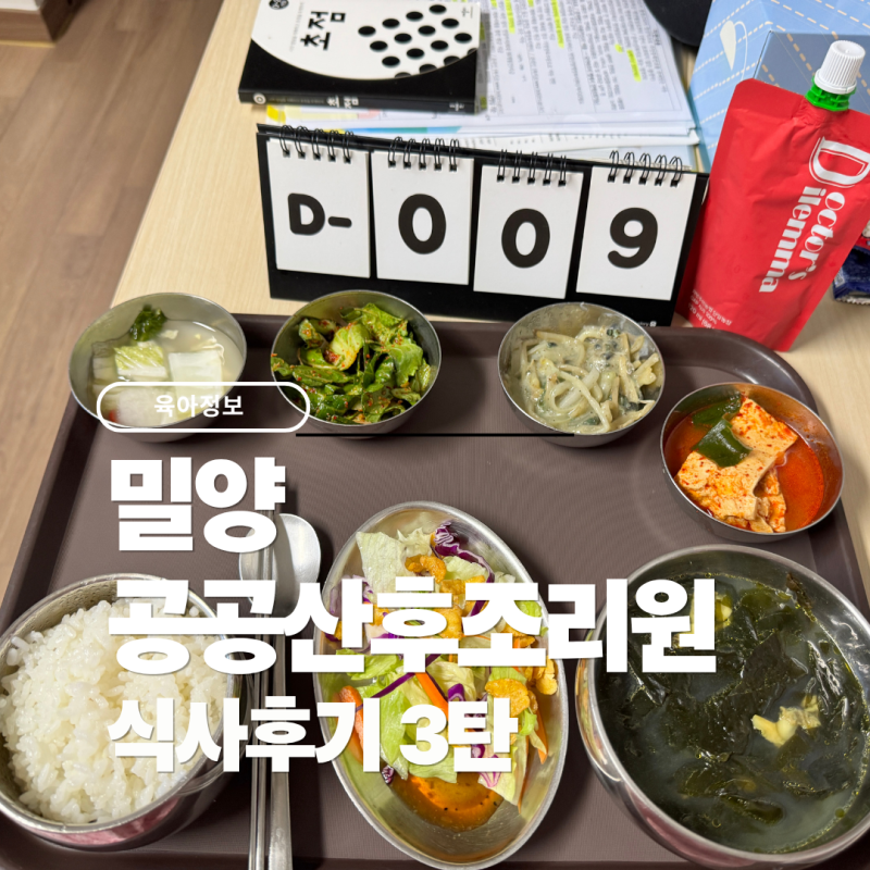 밀양공공산후조리원 후기 3탄｜ 밀양공공산후조리원 식사 후기
