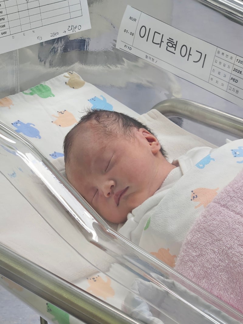 국민건강보험공단 일산병원 응급 제왕절개 출산 다음날