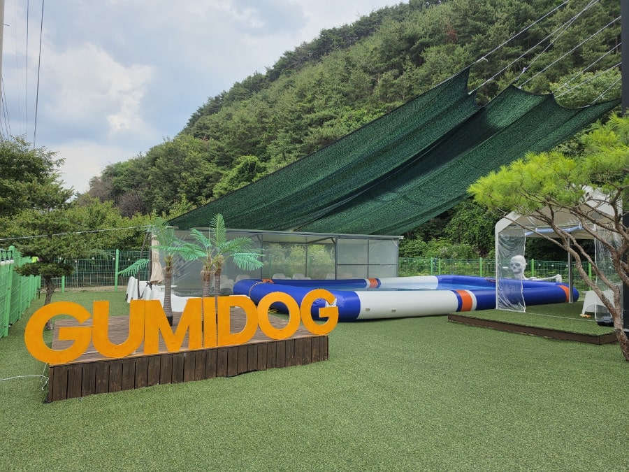 구미도그 사진 5
