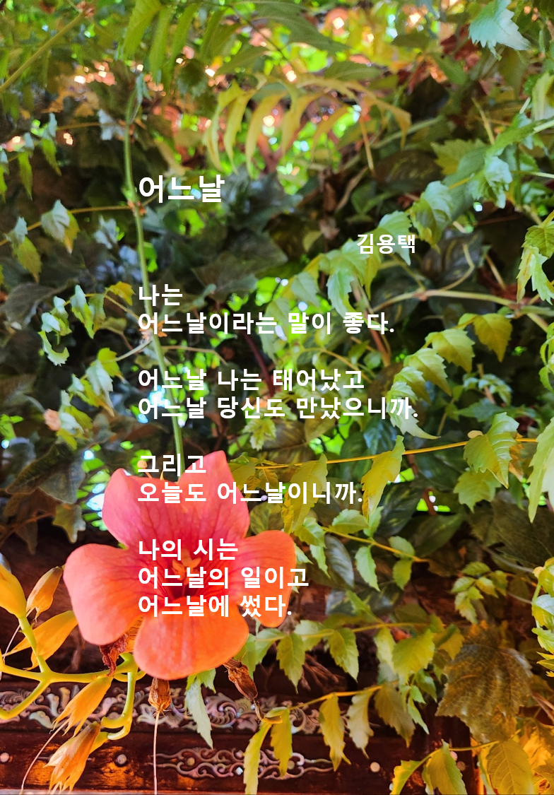 어느날 _ 김용택