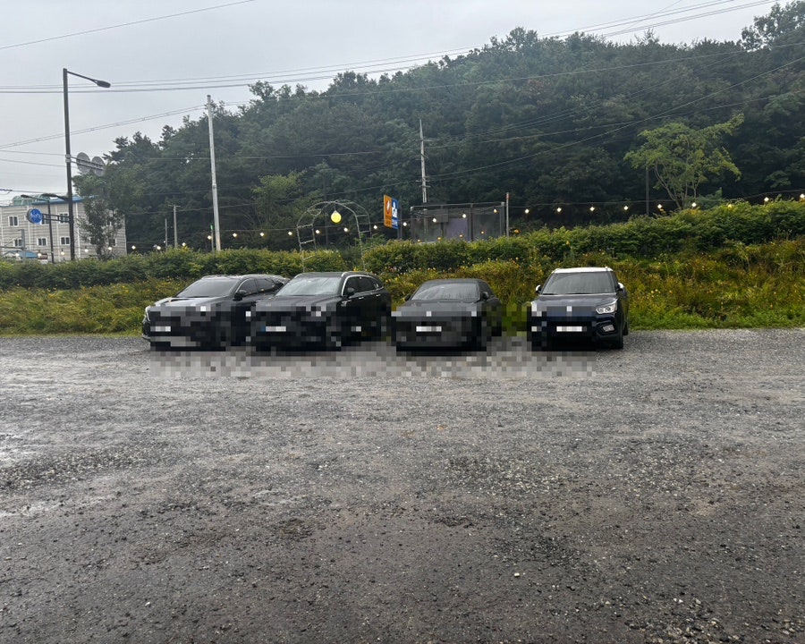 반구정민물장어 사진 4