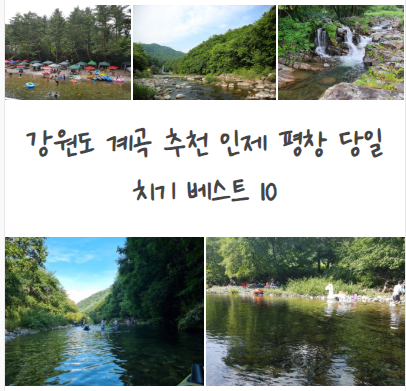 가리산 잣나무숲 사진 1