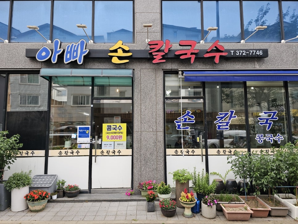 아빠손칼국수 사진 2