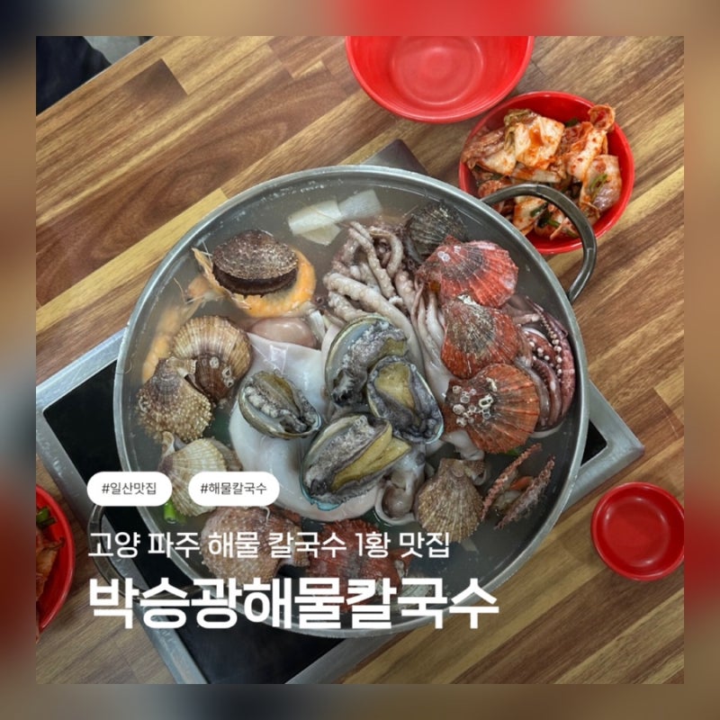 일산 고양 해물칼국수 맛집 / 박승광해물칼국수 내돈내산 솔직후기