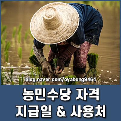 2026 농민 수당 자격 조건 지역별 지급일 및 지역화폐 사용처