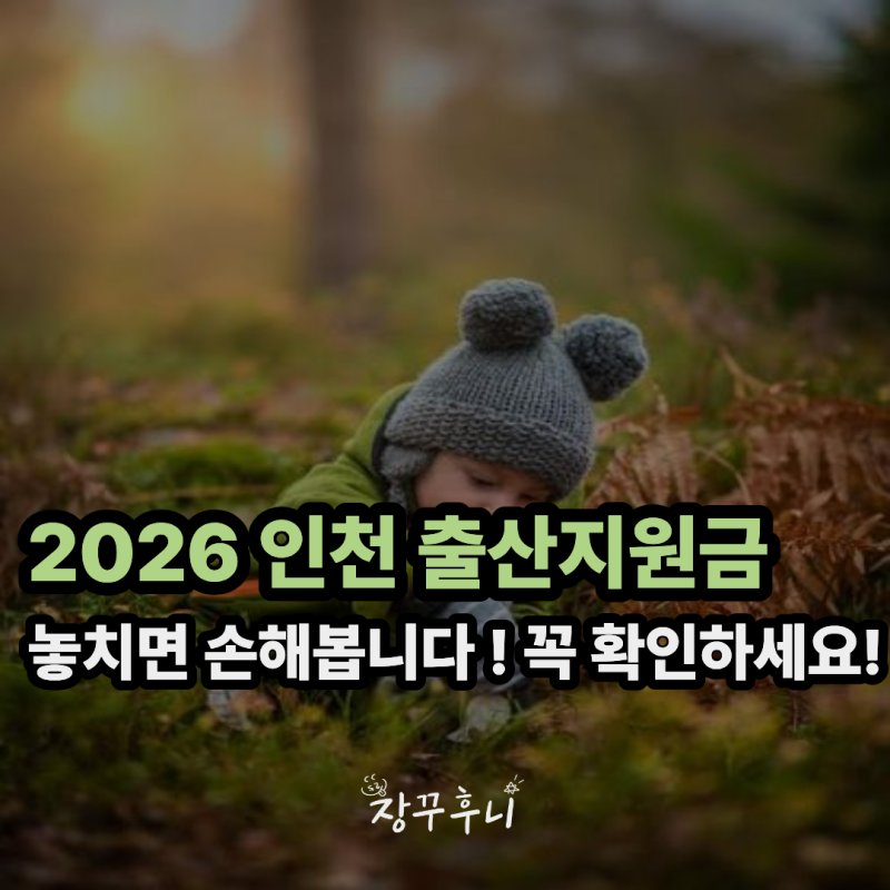"놓치면 손해봅니다! 꼭 확인해보세요!"2026 인천광역시 출산지원금 총정리