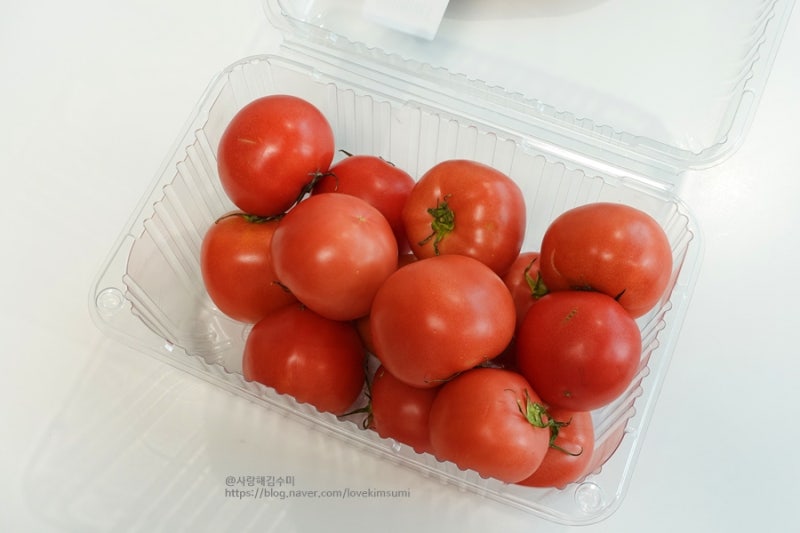 완숙 토마토 보관법 여름 후숙 상온 냉장 방법