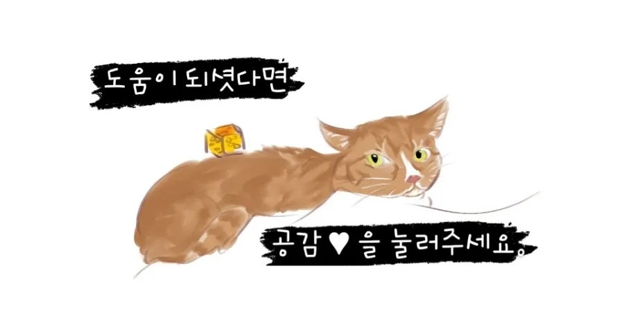 용돈까스 사진 6