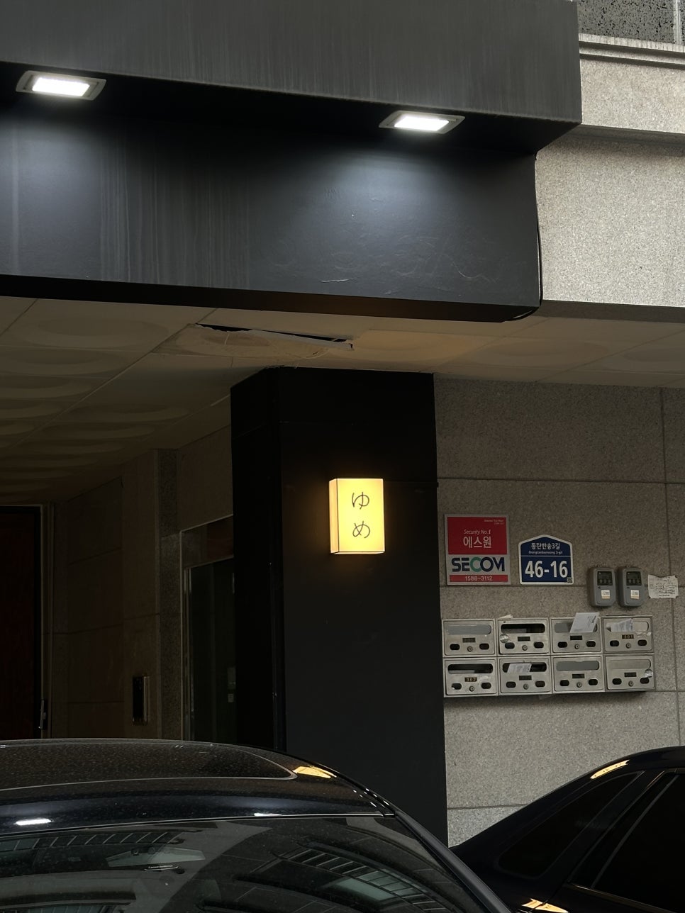 유메 사진 2