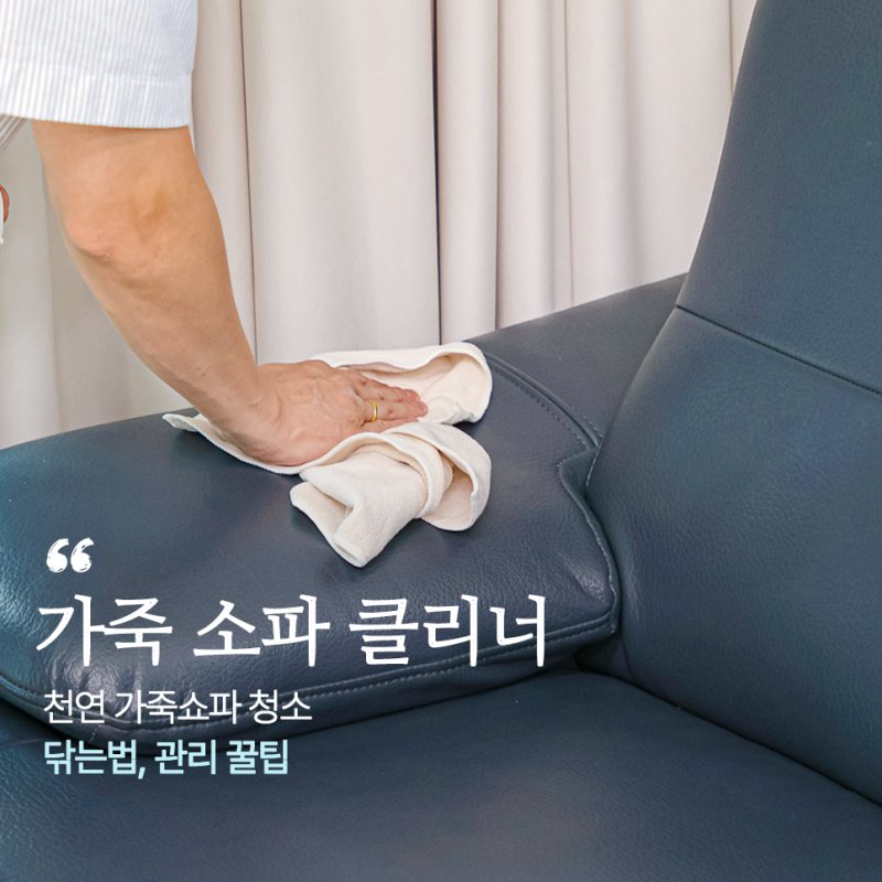 천연 가죽 소파 클리너 추천 가죽쇼파 청소 닦는법 관리 꿀팁