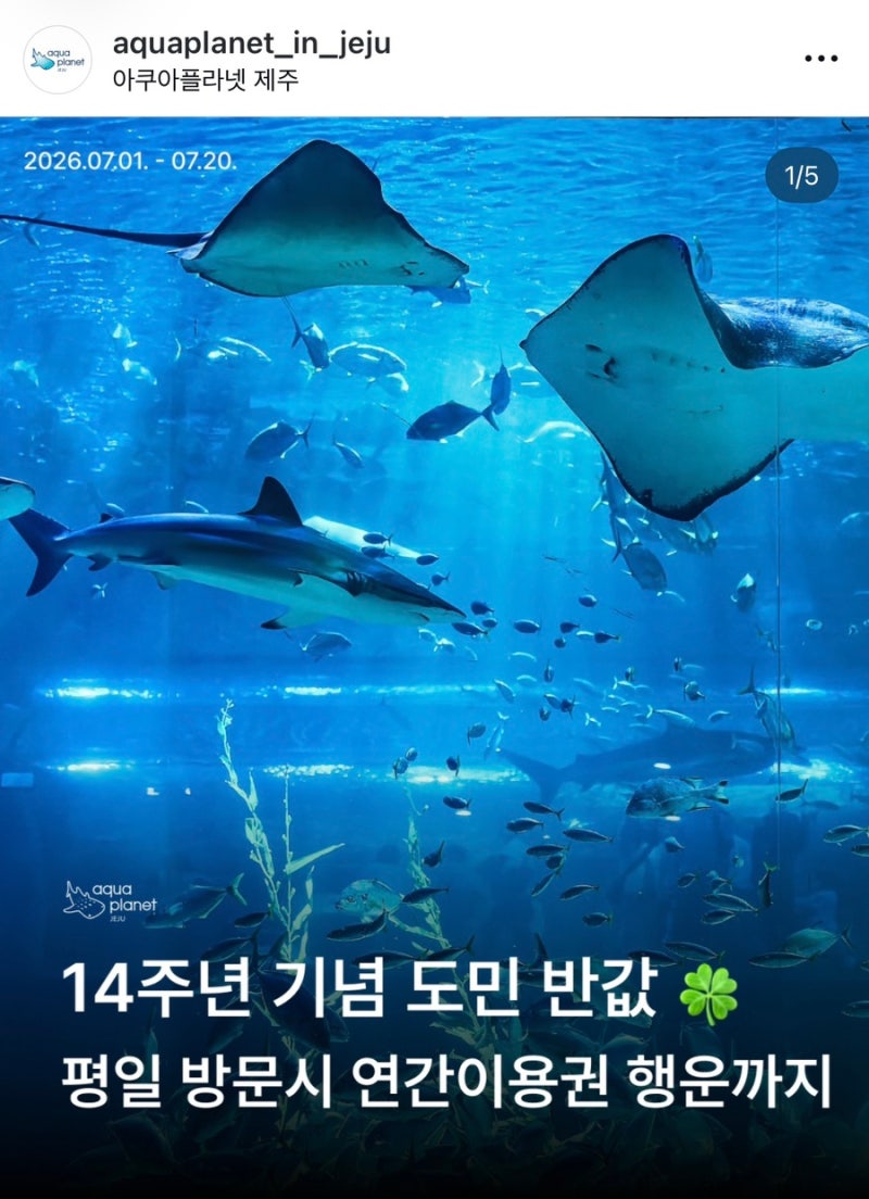 아이들과 가기 좋은,제주 실내 관광지,아쿠아플라넷 제주 / 7월 제주도민 50% 할인행사와 러키....