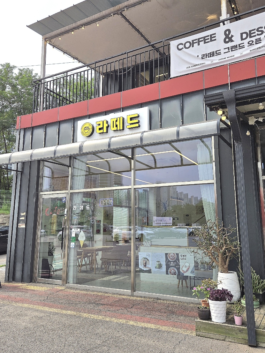 라떼드 사진 1
