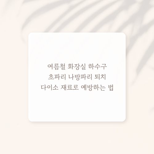 여름철 화장실 하수구 초파리 나방파리 퇴치 다이소 재료로 예방하는 법