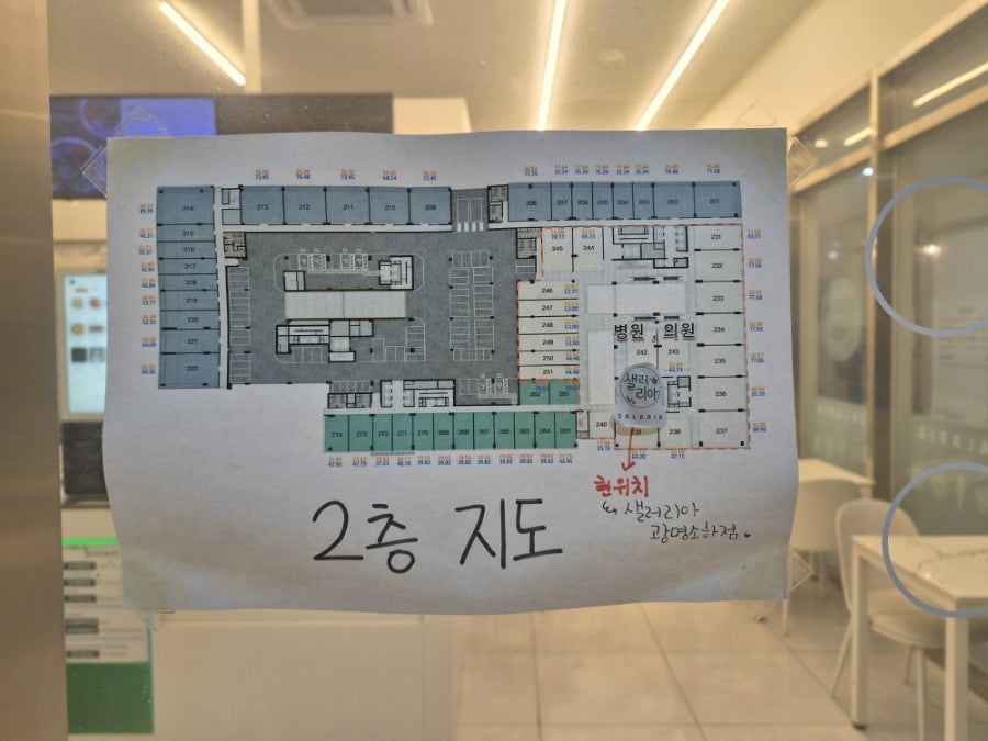 샐러리아 광명소하점 사진 2