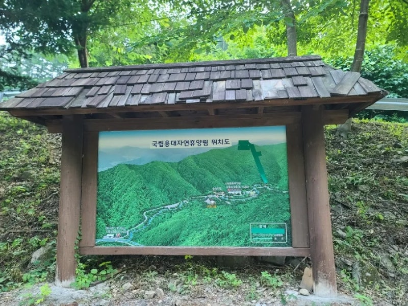용대자연휴양림(인제)
