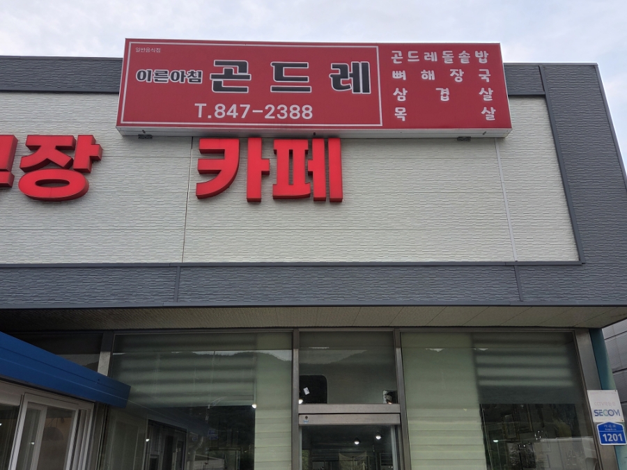 이른아침곤드레 사진 1