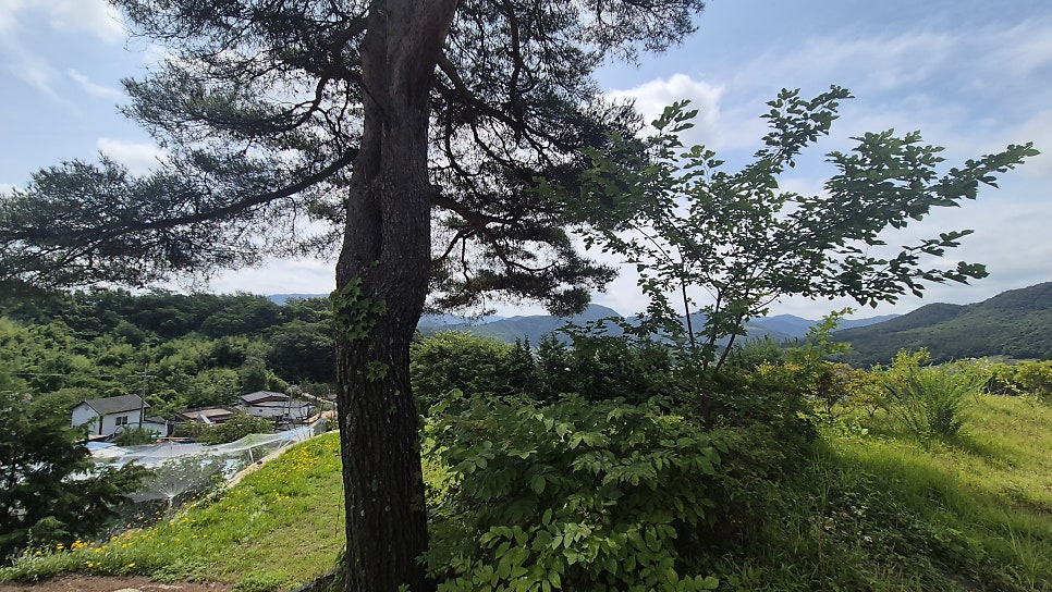 필봉산 사진 3