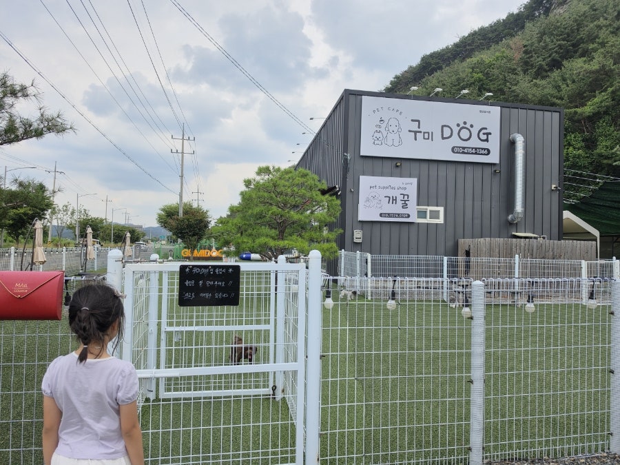 구미도그 사진 2