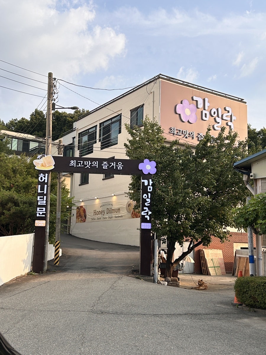 감일락 사진 1