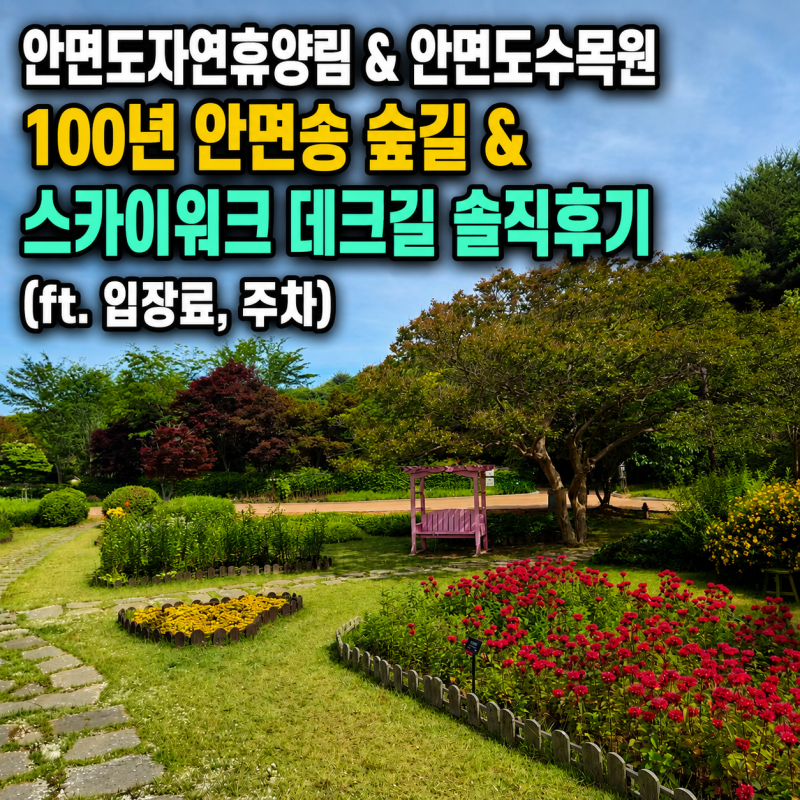 안면도자연휴양림 & 안면도수목원 100년 안면송 숲길 & 스카이워크 데크길 솔직후기 (ft. 입장....