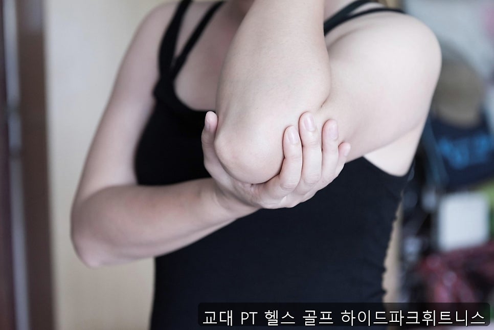 Haideu photo 3