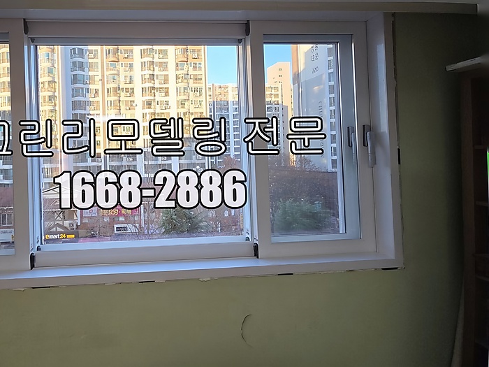 산호 사진 5