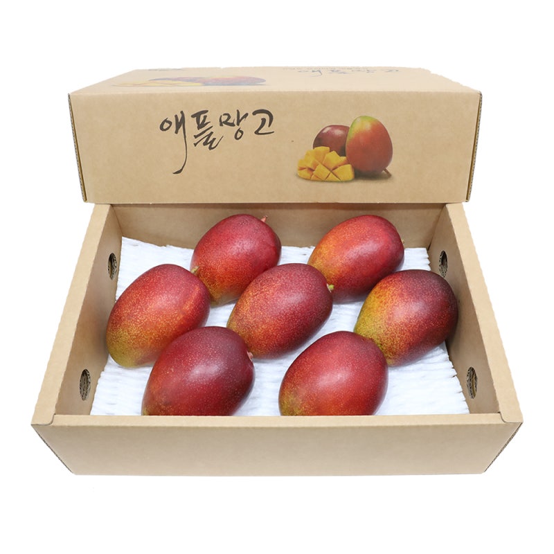 제주 애플망고 선물세트 3kg, 부모님 댁에 보내보고 쓰는 솔직 후기