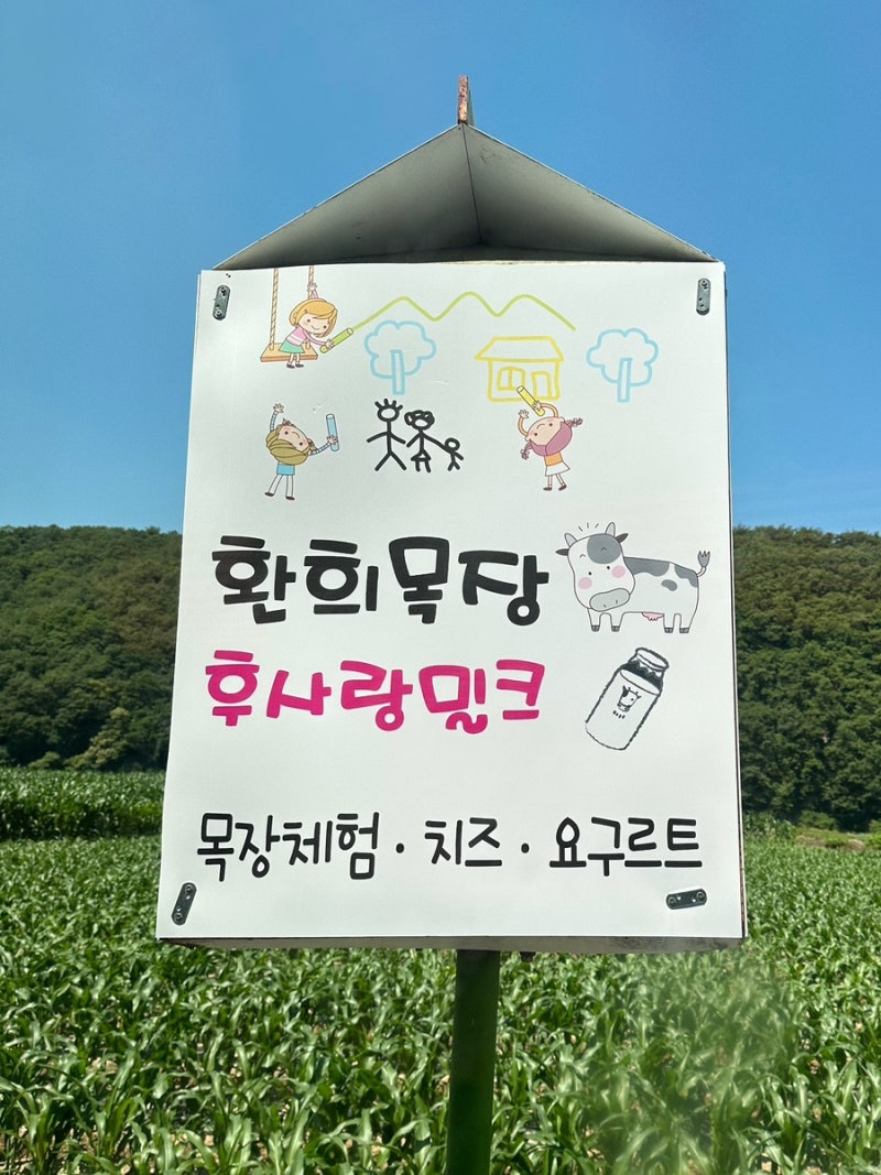 울산 환희목장 18개월아기 어린이집 젖소체험활동 A코스체험후기 부산울산근교아기랑 가볼....